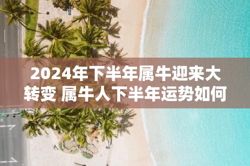2025年下半年属牛迎来大转变 属牛人下半年运势如何