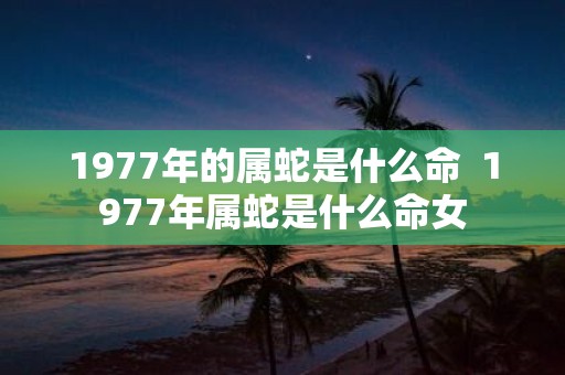 1977年的属蛇是什么命 1977年属蛇是什么命女
