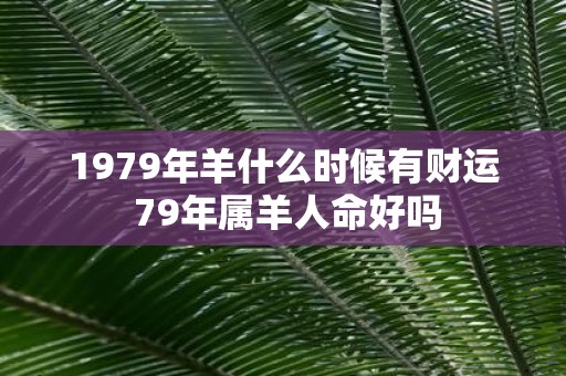 1979年羊什么时候有财运 79年属羊人命好吗