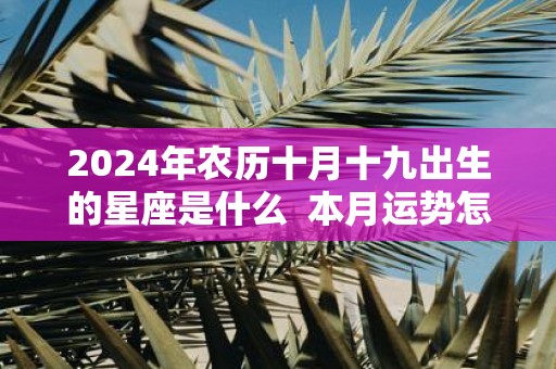 2025年农历十月十九出生的星座是什么 本月运势怎么样