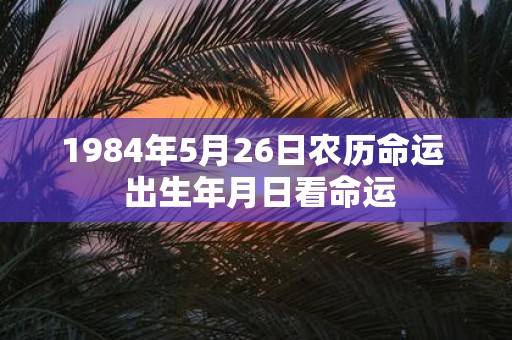 1984年5月26日农历命运 出生年月日看命运