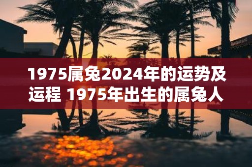 1975属兔2025年的运势及运程 1975年出生的属兔人2025年的运势如何