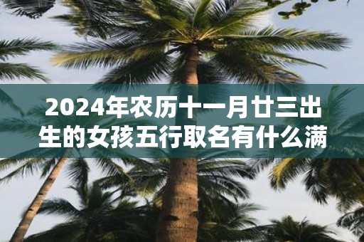 2025年农历十一月廿三出生的女孩五行取名有什么满分推荐