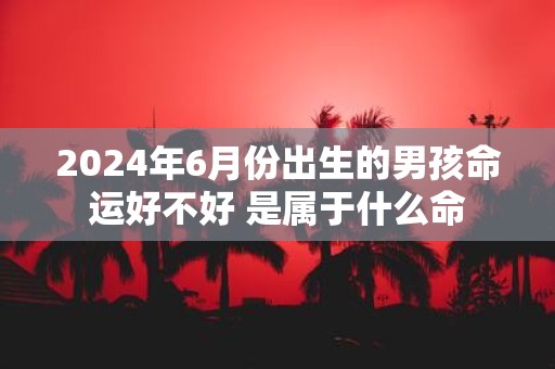 2025年6月份出生的男孩命运好不好 是属于什么命