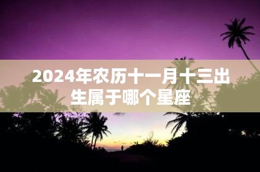 2025年农历十一月十三出生属于哪个星座