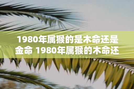 1980年属猴的是木命还是金命 1980年属猴的木命还是金命