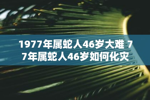 1977年属蛇人46岁大难 77年属蛇人46岁如何化灾