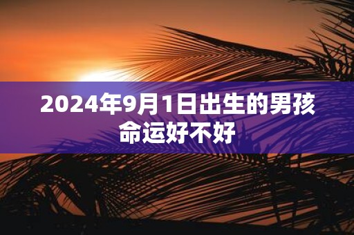 2025年9月1日出生的男孩命运好不好