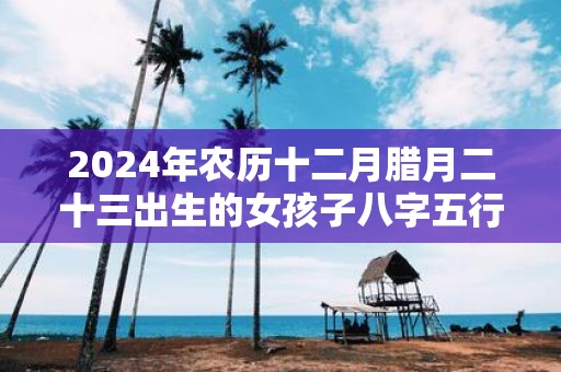 2025年农历十二月腊月二十三出生的女孩子八字五行取名宝典