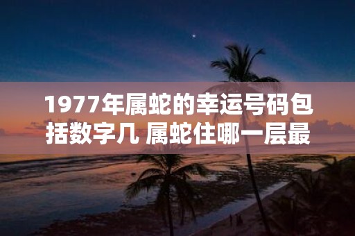 1977年属蛇的幸运号码包括数字几 属蛇住哪一层最好