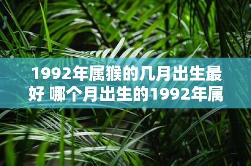 1992年属猴的几月出生最好 哪个月出生的1992年属猴运势最佳