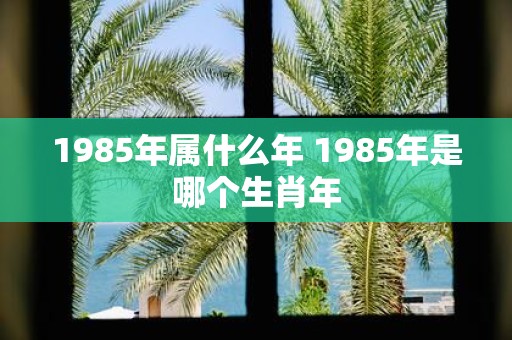 1985年属什么年 1985年是哪个生肖年