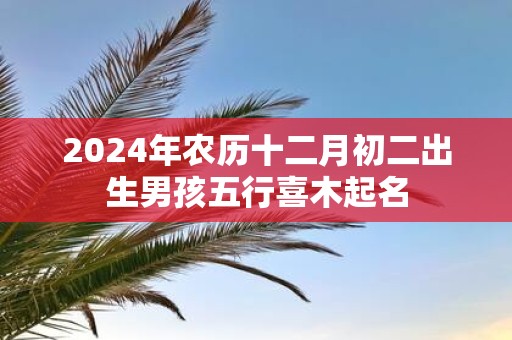 2025年农历十二月初二出生男孩五行喜木起名