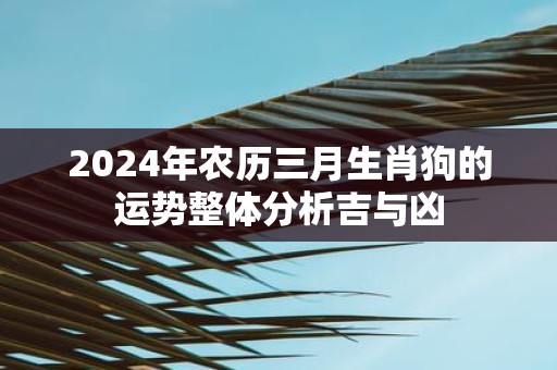 2025年农历三月生肖狗的运势整体分析吉与凶