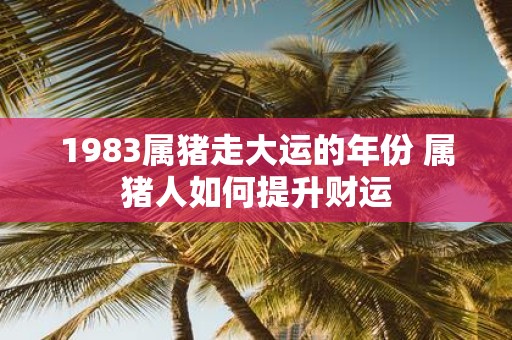 1983属猪走大运的年份 属猪人如何提升财运