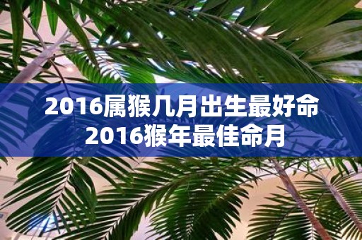 2016属猴几月出生最好命 2016猴年最佳命月