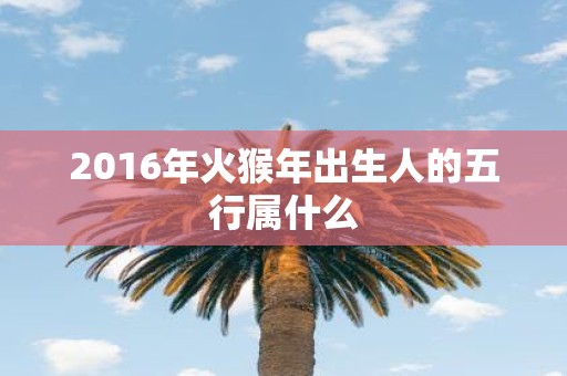 2016年火猴年出生人的五行属什么