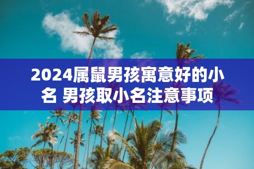2025属鼠男孩寓意好的小名 男孩取小名注意事项