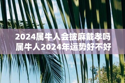 2025属牛人会披麻戴孝吗 属牛人2025年运势好不好