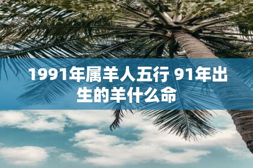 1991年属羊人五行 91年出生的羊什么命