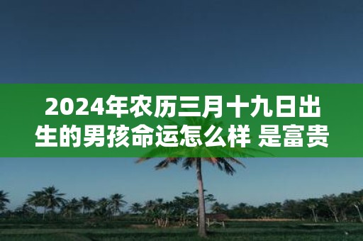 2025年农历三月十九日出生的男孩命运怎么样 是富贵命吗