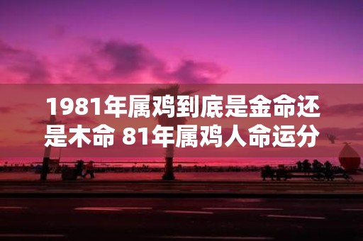 1981年属鸡到底是金命还是木命 81年属鸡人命运分析