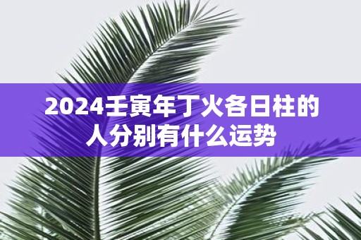 2025壬寅年丁火各日柱的人分别有什么运势