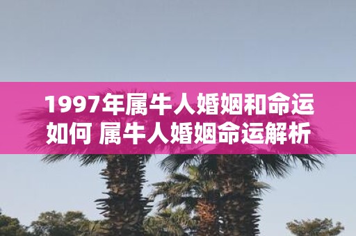 1997年属牛人婚姻和命运如何 属牛人婚姻命运解析