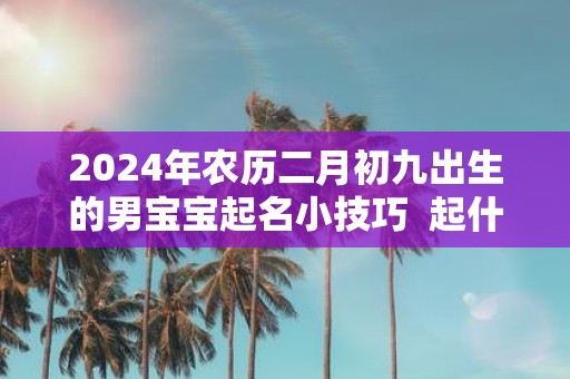 2025年农历二月初九出生的男宝宝起名小技巧 起什么名字寓意最好