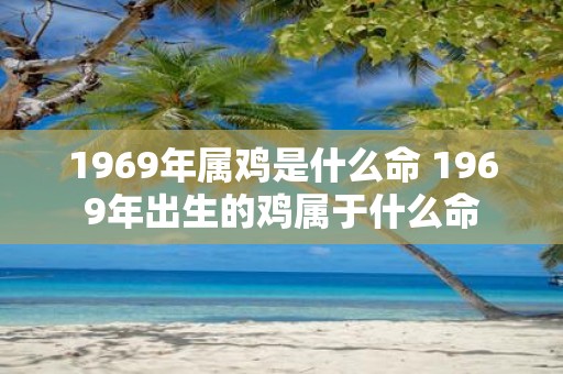 1969年属鸡是什么命 1969年出生的鸡属于什么命