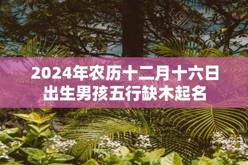 2025年农历十二月十六日出生男孩五行缺木起名