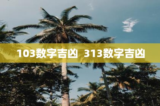 103数字吉凶 313数字吉凶