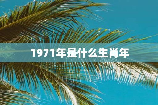 1971年是什么生肖年