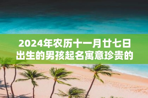2025年农历十一月廿七日出生的男孩起名寓意珍贵的名字精选