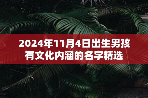 2025年11月4日出生男孩有文化内涵的名字精选