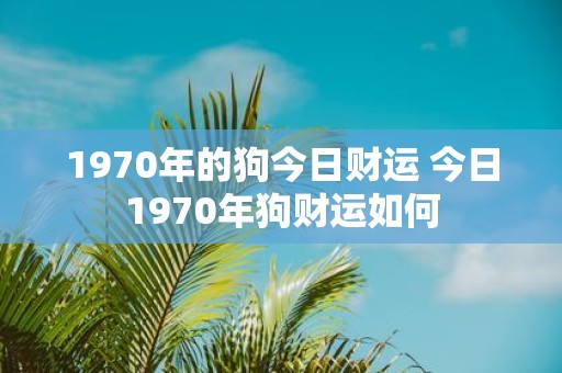 1970年的狗今日财运 今日1970年狗财运如何