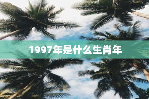 1997年是什么生肖年