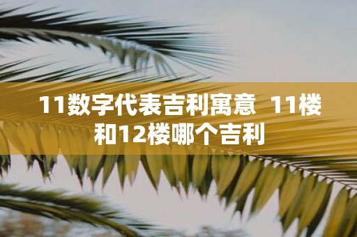 11数字代表吉利寓意 11楼和12楼哪个吉利
