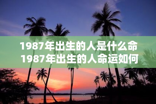 1987年出生的人是什么命 1987年出生的人命运如何