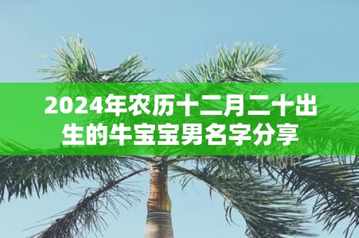 2025年农历十二月二十出生的牛宝宝男名字分享