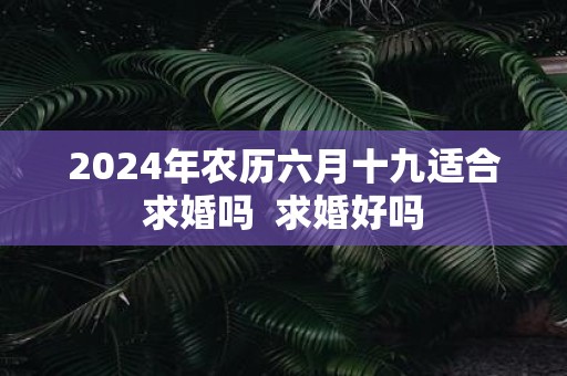 2025年农历六月十九适合求婚吗 求婚好吗