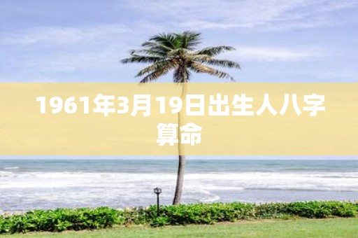 1961年3月19日出生人八字算命
