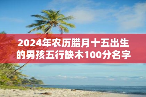 2025年农历腊月十五出生的男孩五行缺木100分名字精选