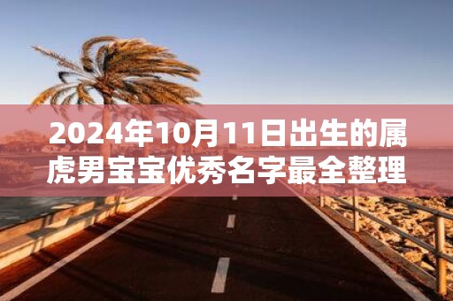 2025年10月11日出生的属虎男宝宝优秀名字最全整理