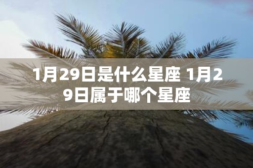 1月29日是什么星座 1月29日属于哪个星座