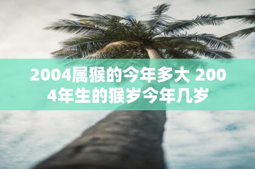 2004属猴的今年多大 2004年生的猴岁今年几岁
