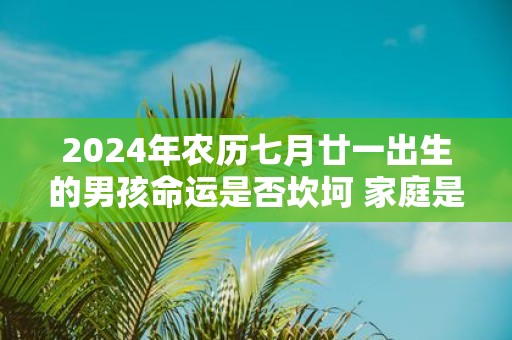 2025年农历七月廿一出生的男孩命运是否坎坷 家庭是否美满