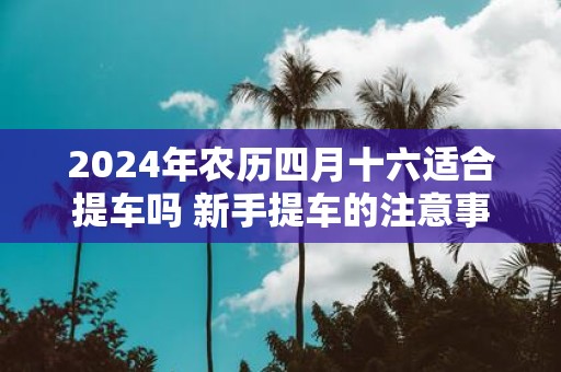 2025年农历四月十六适合提车吗 新手提车的注意事项