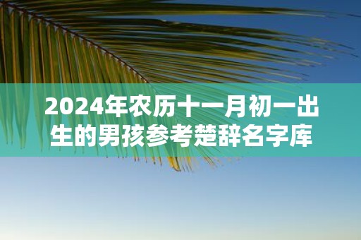 2025年农历十一月初一出生的男孩参考楚辞名字库