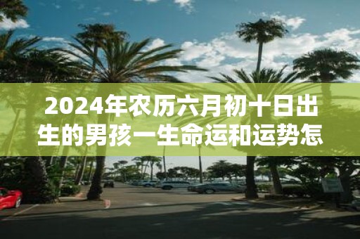 2025年农历六月初十日出生的男孩一生命运和运势怎么样